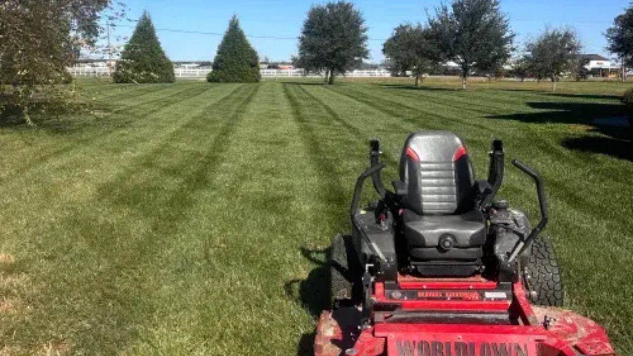 average landscaping cost