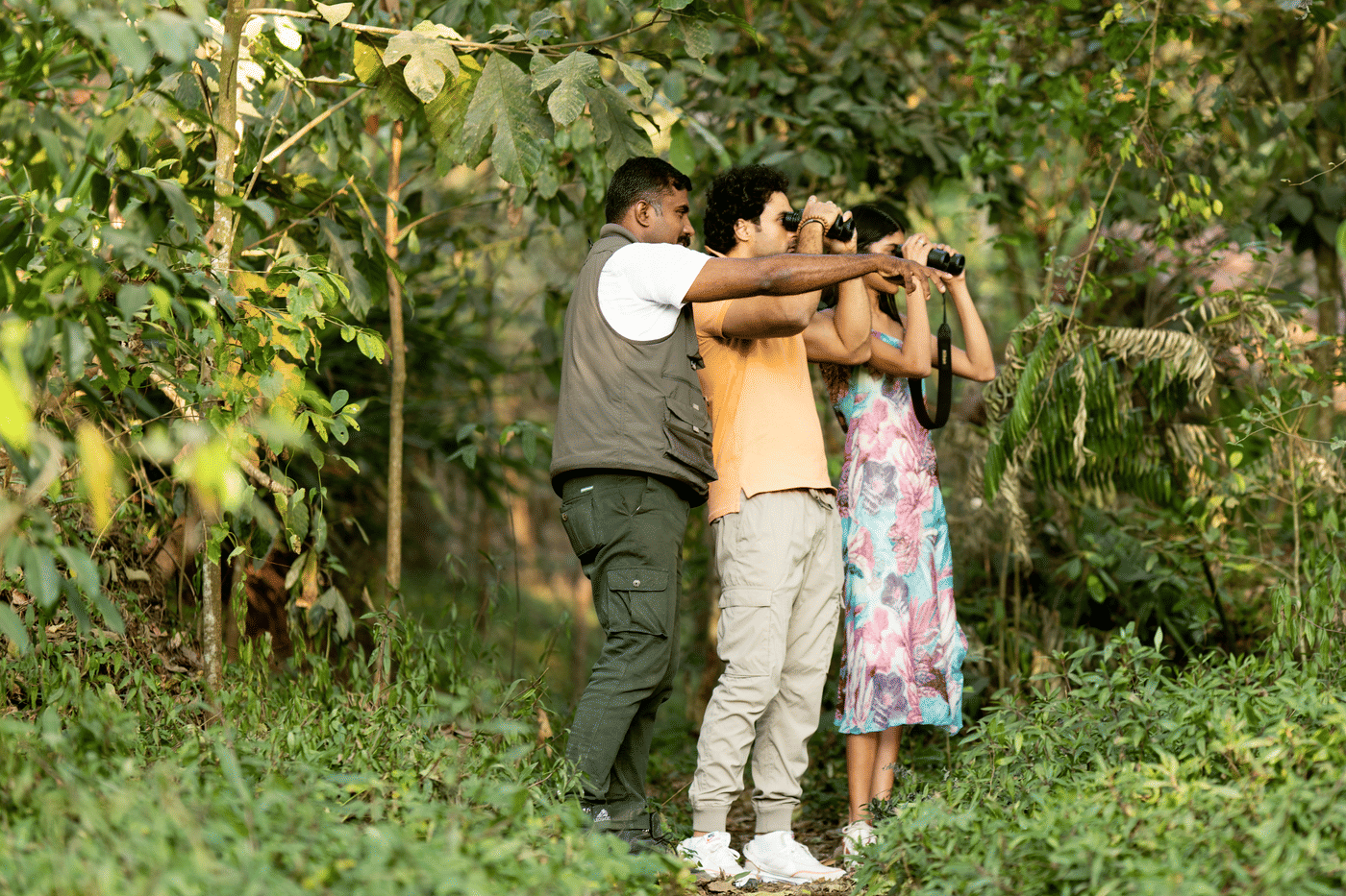 Guided birdwatching walk on a forest path