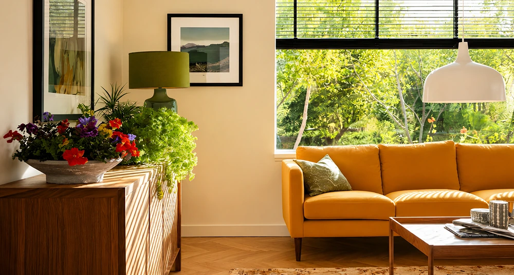 cozy-vibrant-living-room-doxnr