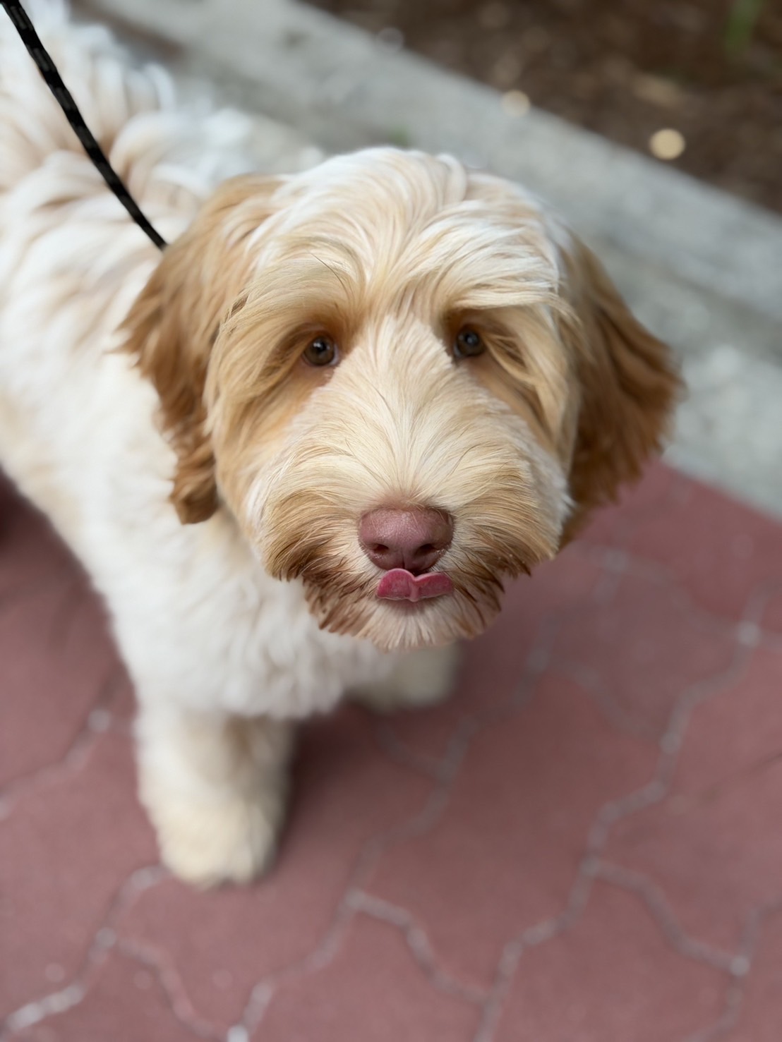 Charlie