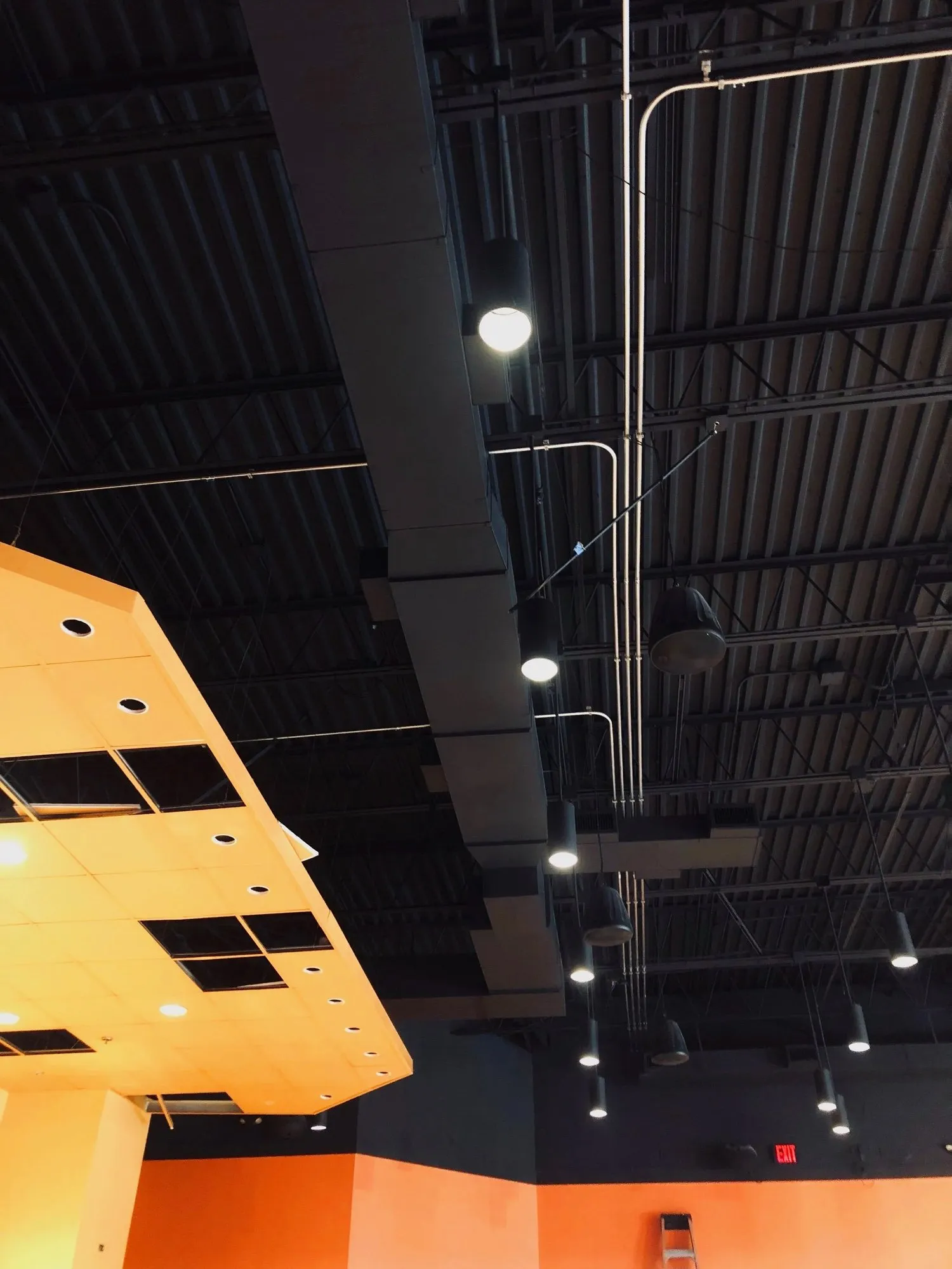 Open ceiling lighting and conduit installation.