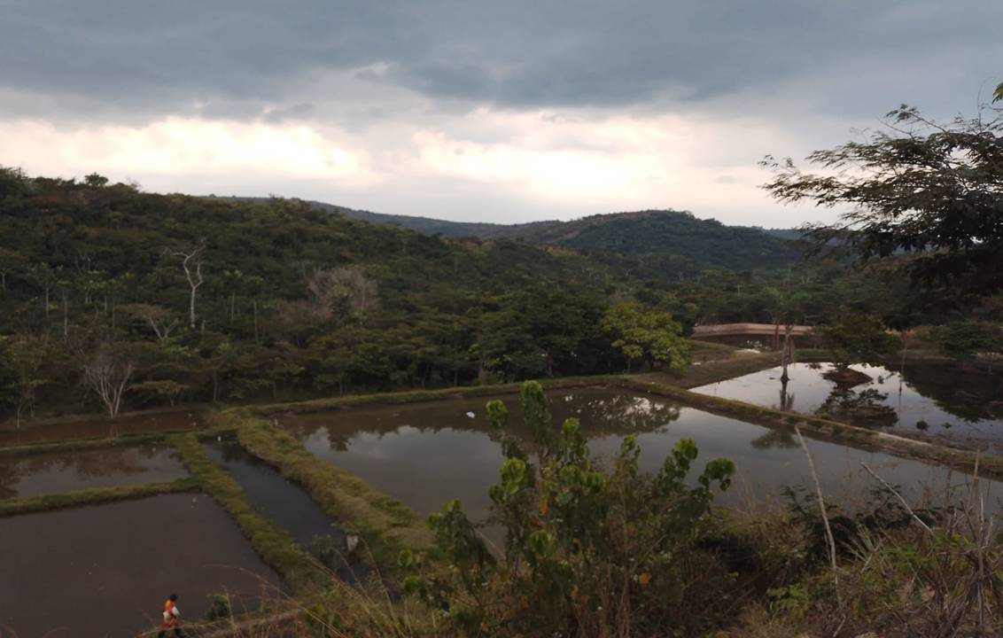 Étangs en eau au pied de collines boisées, sous un ciel nuageux.