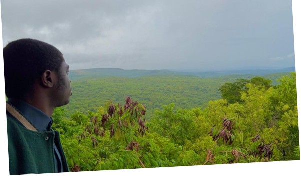 Un homme contemple une vallée reboisée depuis un point de vue.