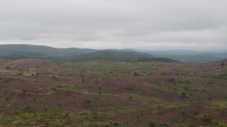 Paysage de collines couvertes de jeunes plantations sous un ciel gris.