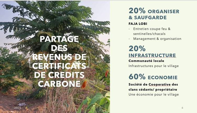 Diapositive « Partage des revenus des certificats de crédits carbone » : 20 % organisation et sauvegarde, 20 % infrastructures, 60 % économie