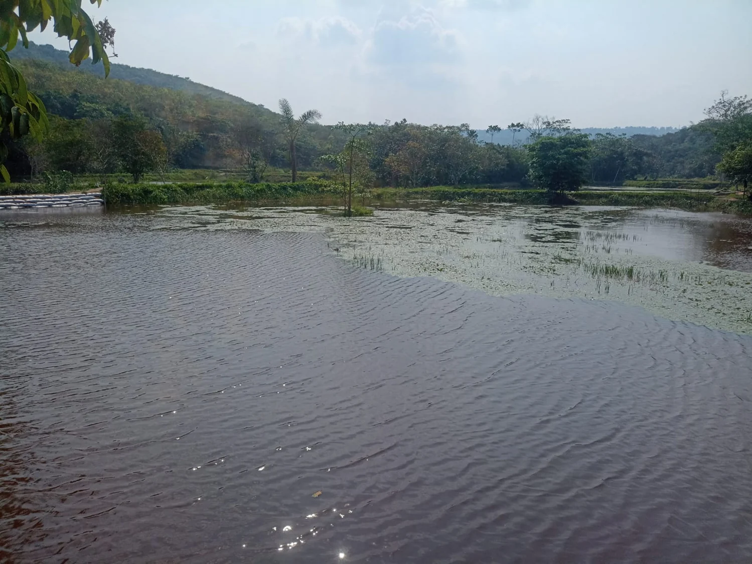 Étang de pisciculture alimenté par la rivière
