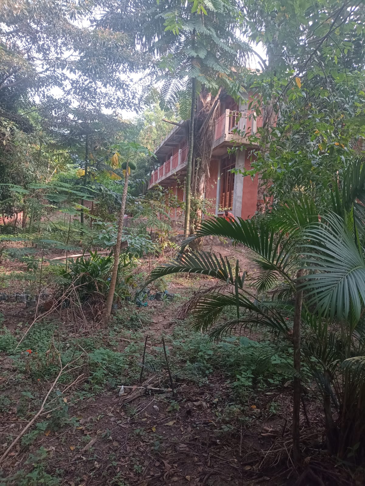 Le bâtiment de la faculté de foresterie du campus UNIKIK