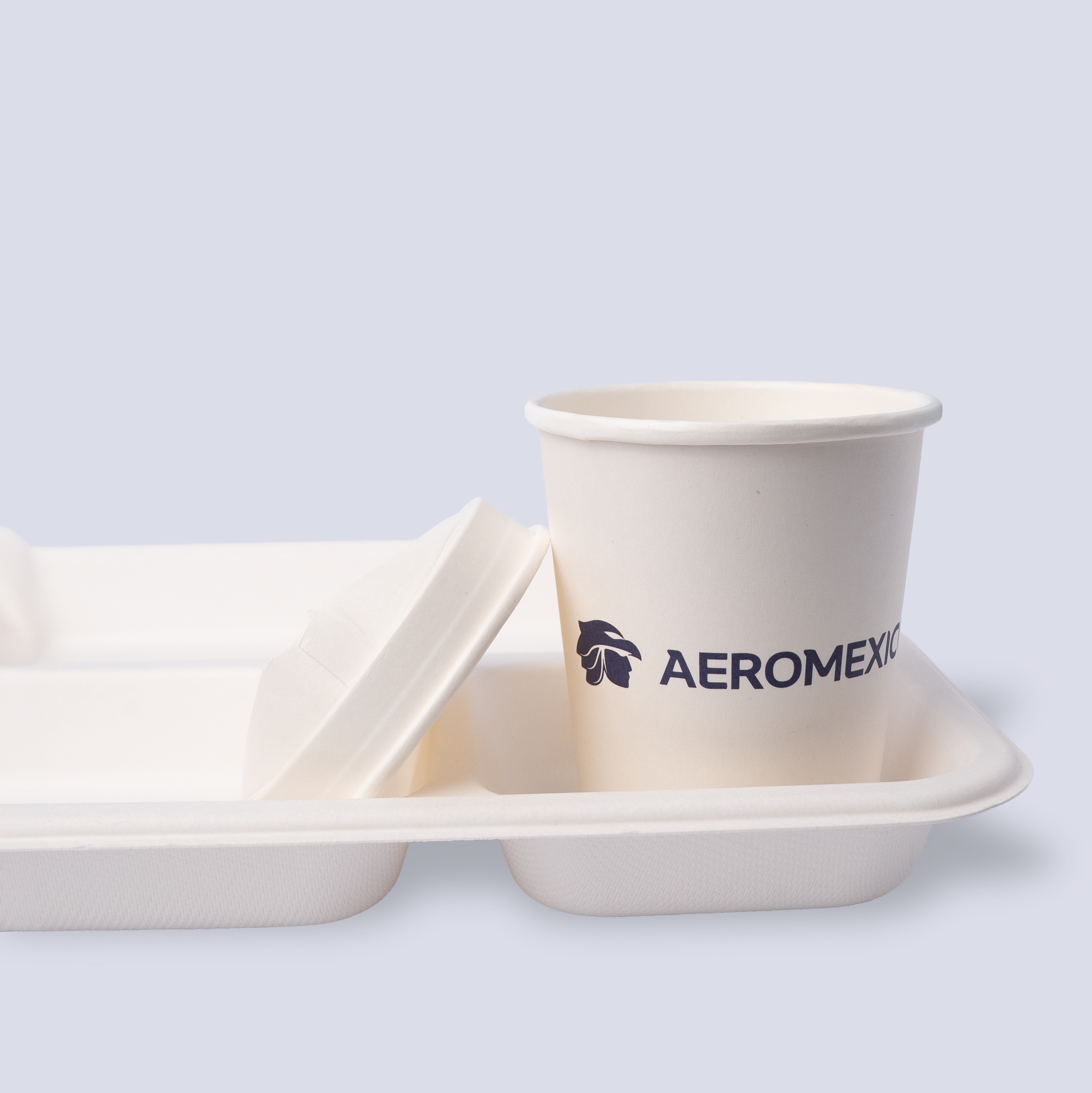 4 Compartment Food Tray