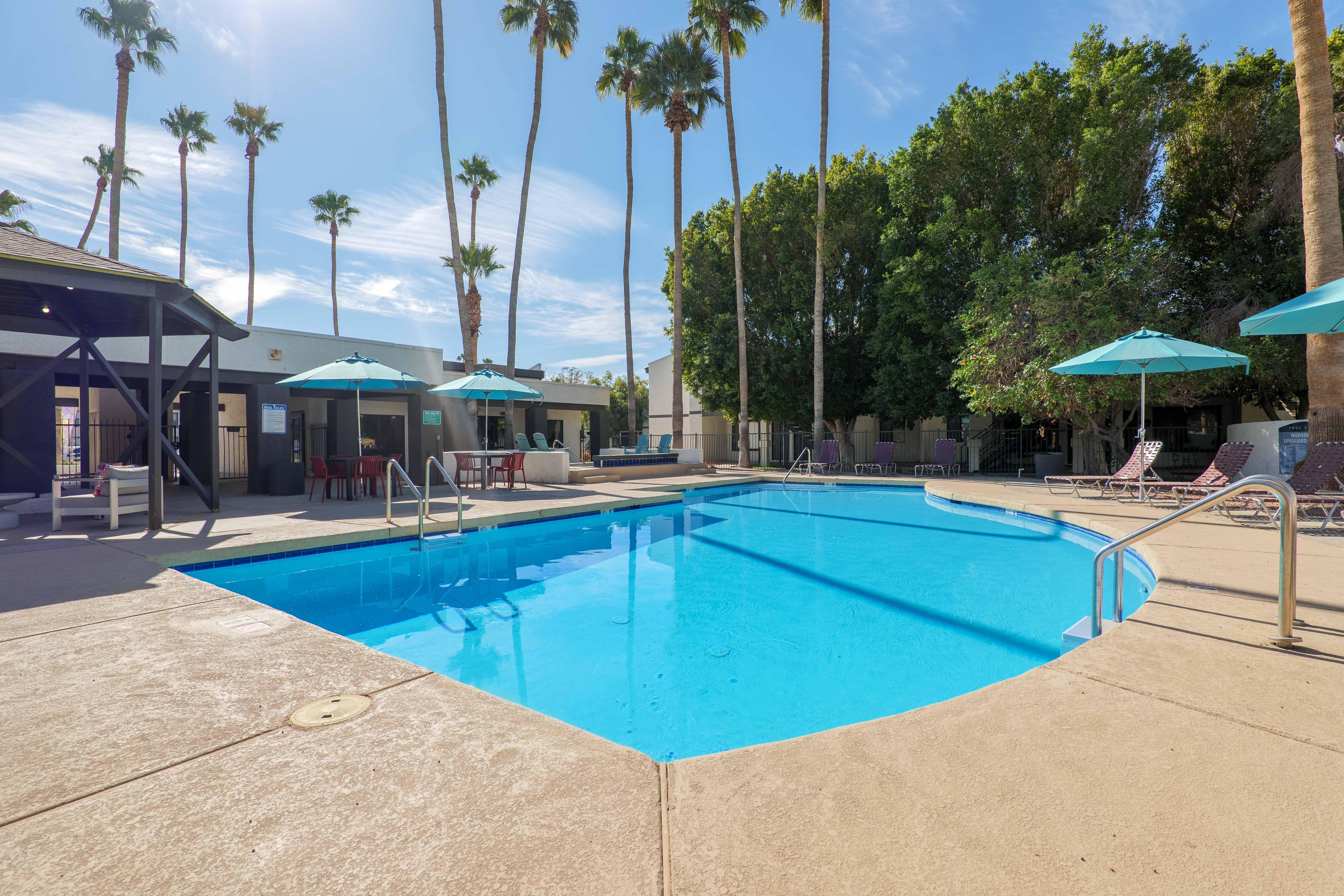 Swimming pool surrounded by palm trees