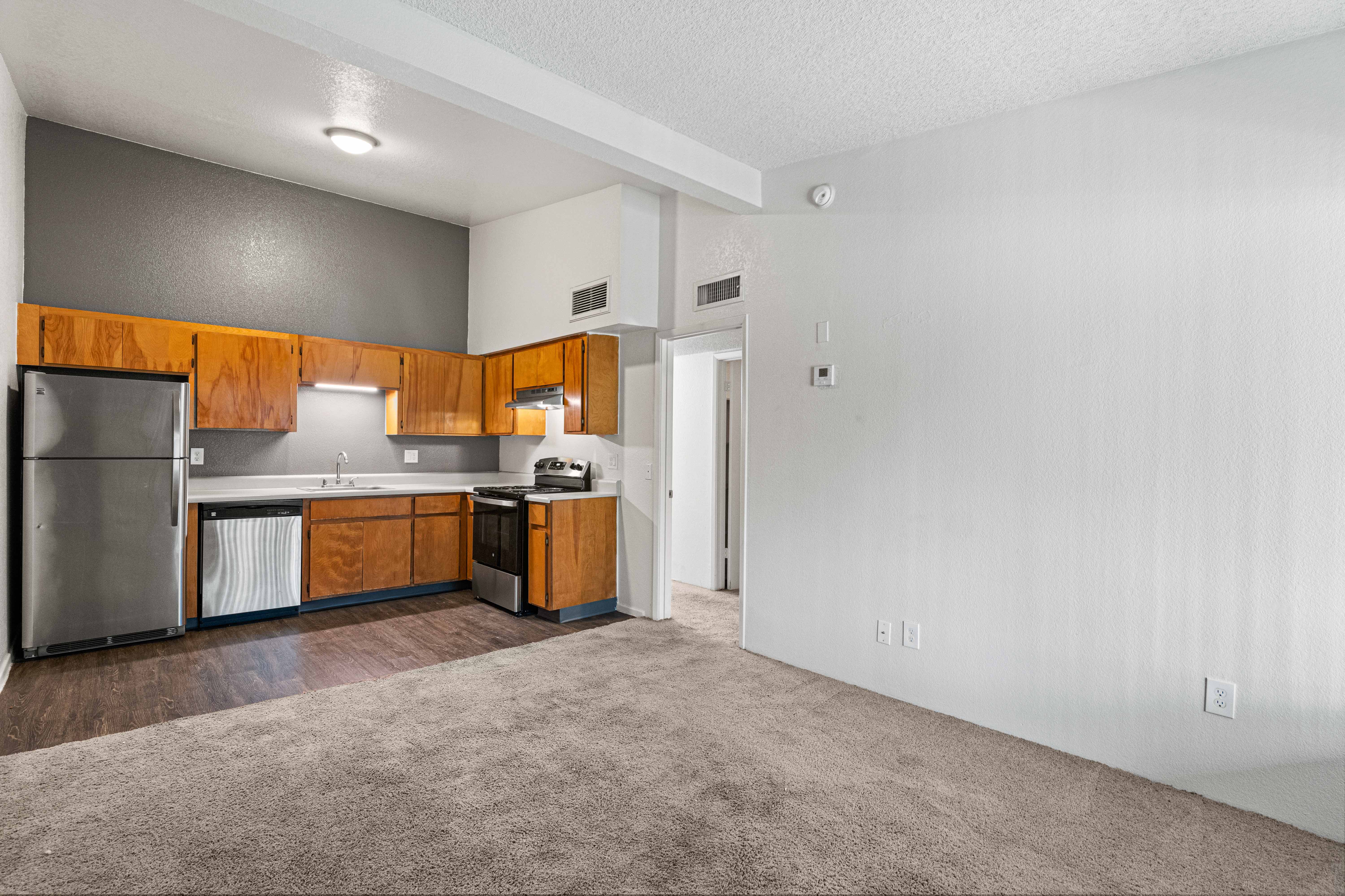 Open-concept living room and kitchen