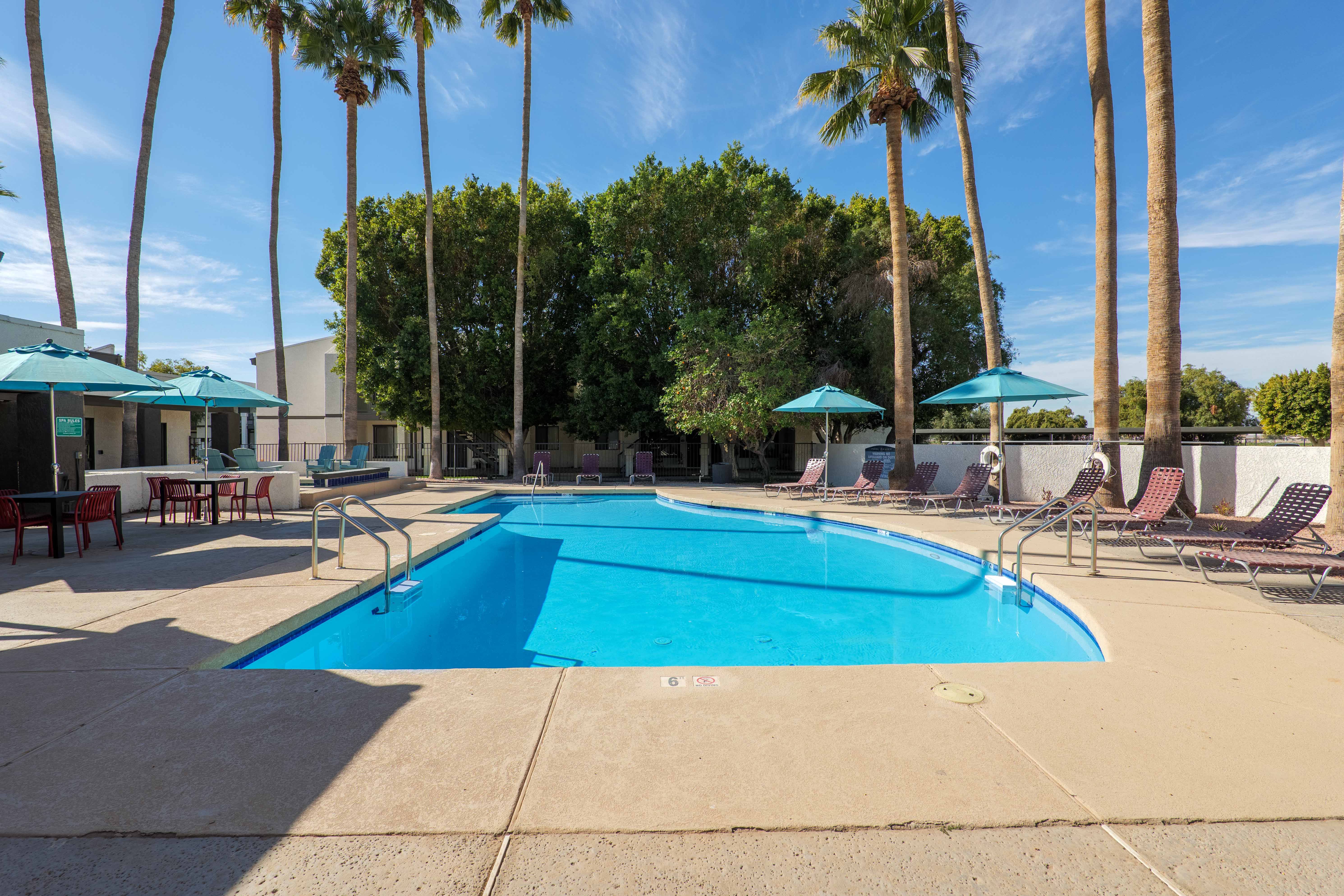 Pool and outdoor area