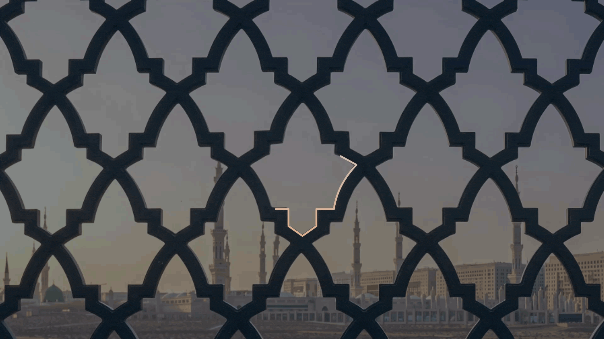 ALBAQI