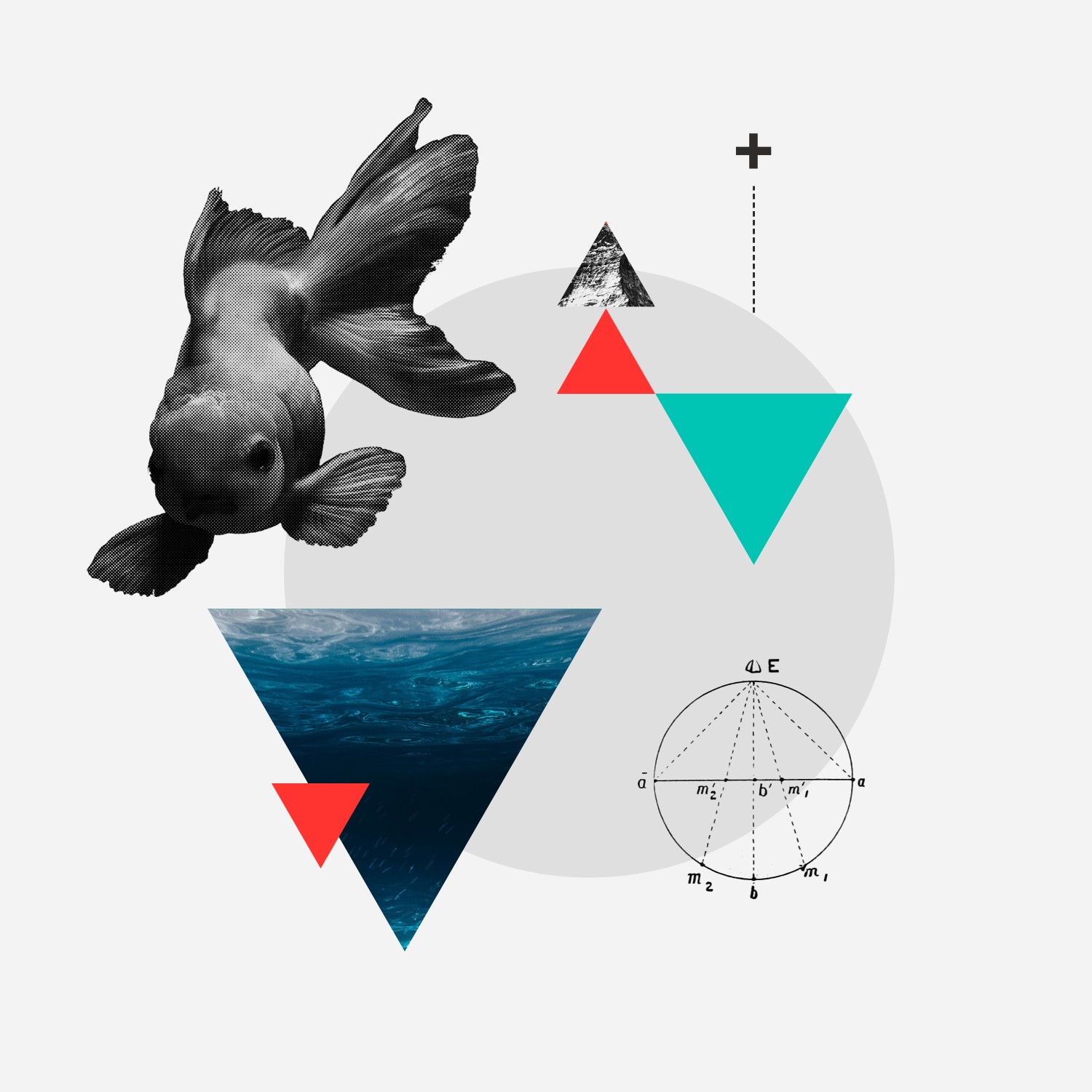 Collage of a tree inside a teal triangle with a bird and a fossil