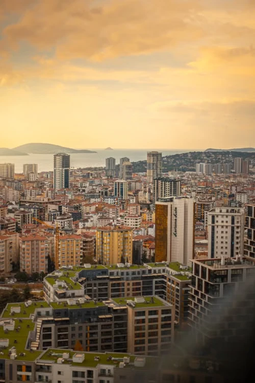 Cityscape with dense buildings and surrounding hills