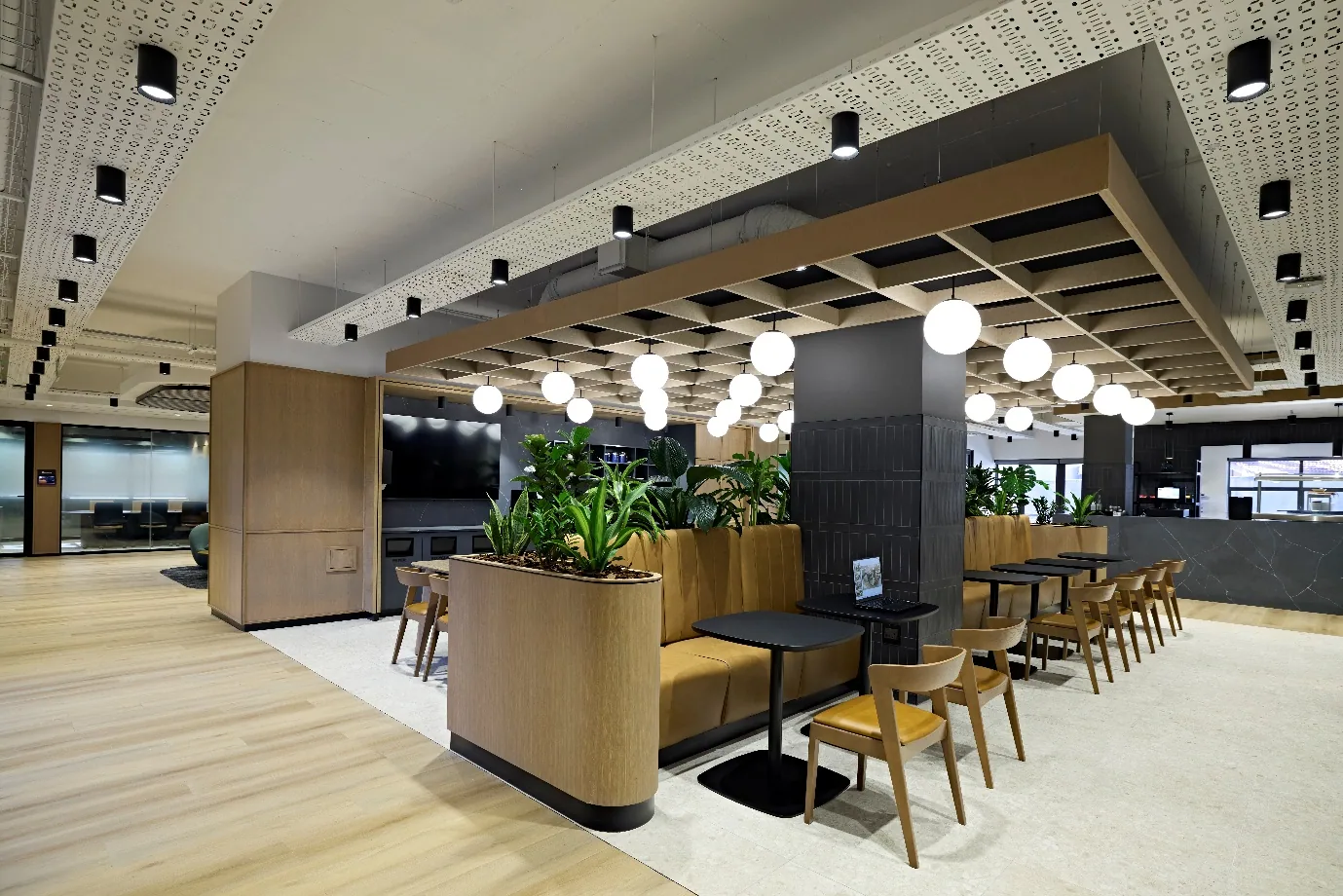 From Corporate to Curated: The Evolution of Workplace Design