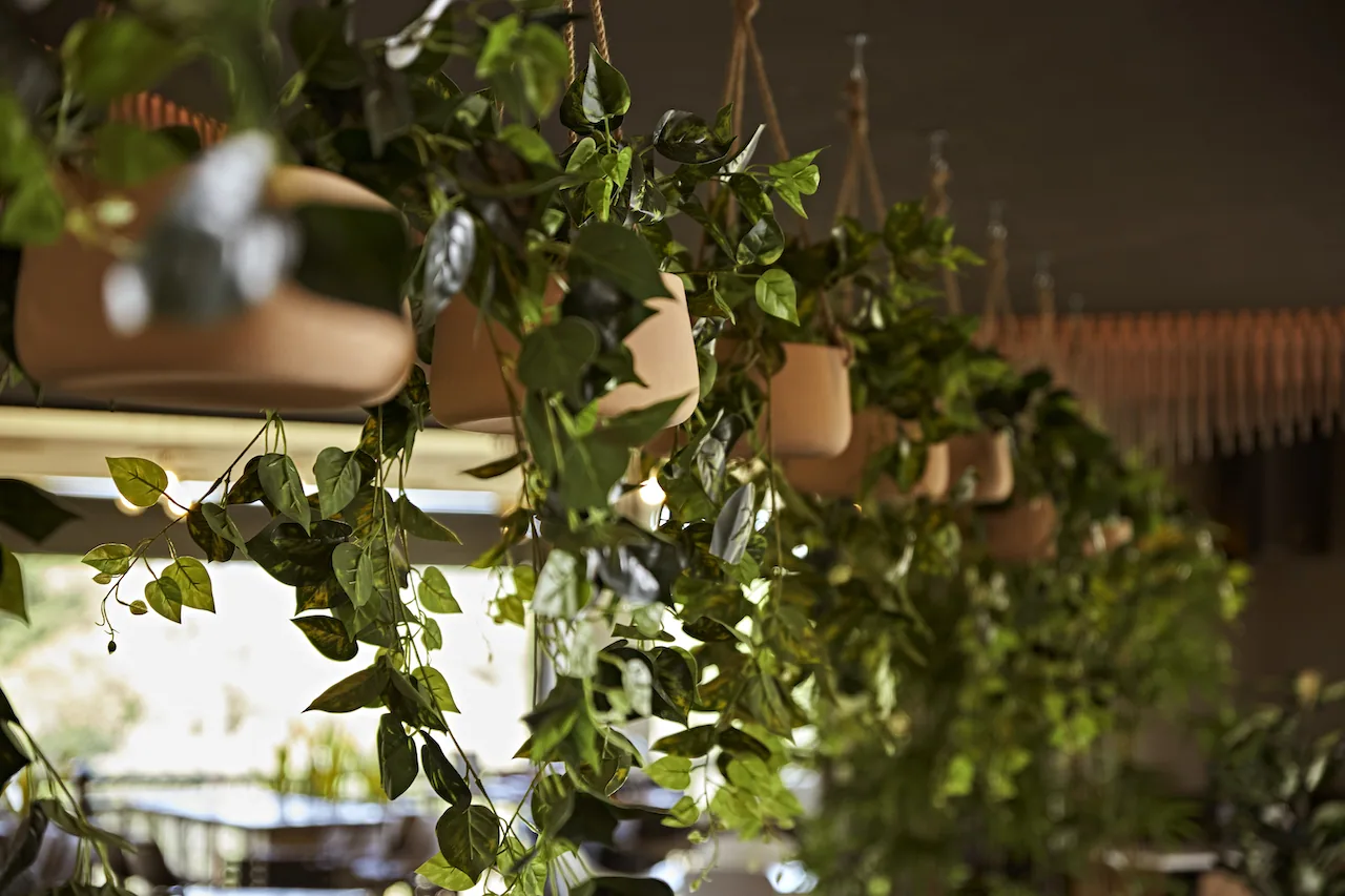 Newscafe - Witbank interior designed by Design Partnership.
