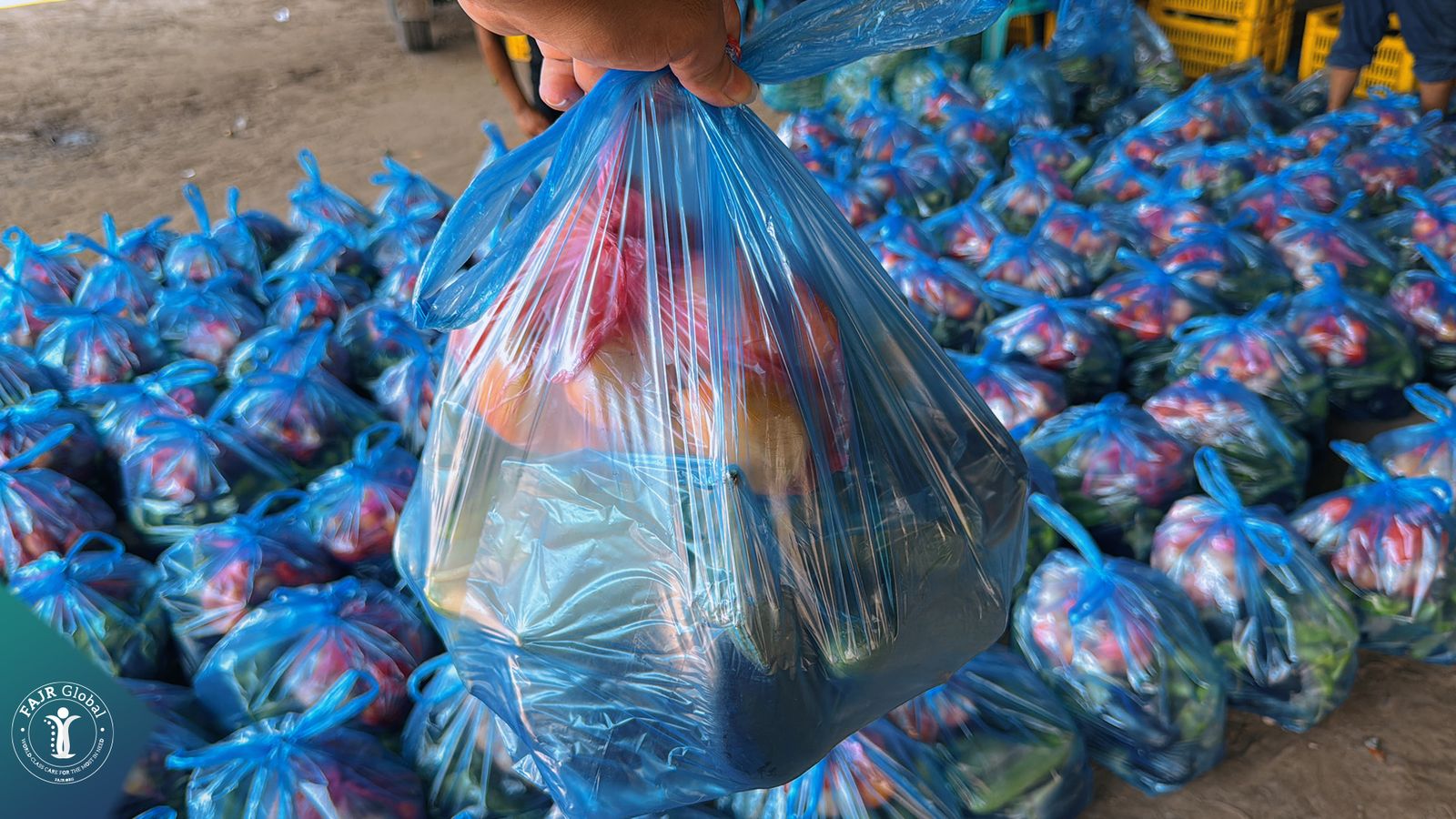 Bags of fresh produce packed for distribution