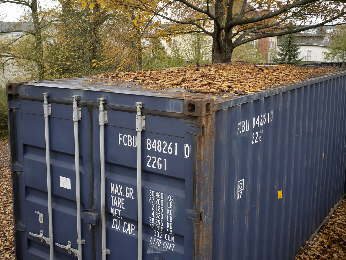 Container Care, Leaf removal from roof of shipping container, blue shipping container