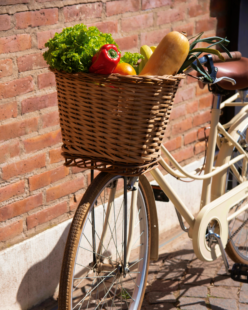 A bike with a basket full of groceries