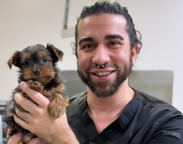 Stratford Animal Hospital staff member with a small dog patient