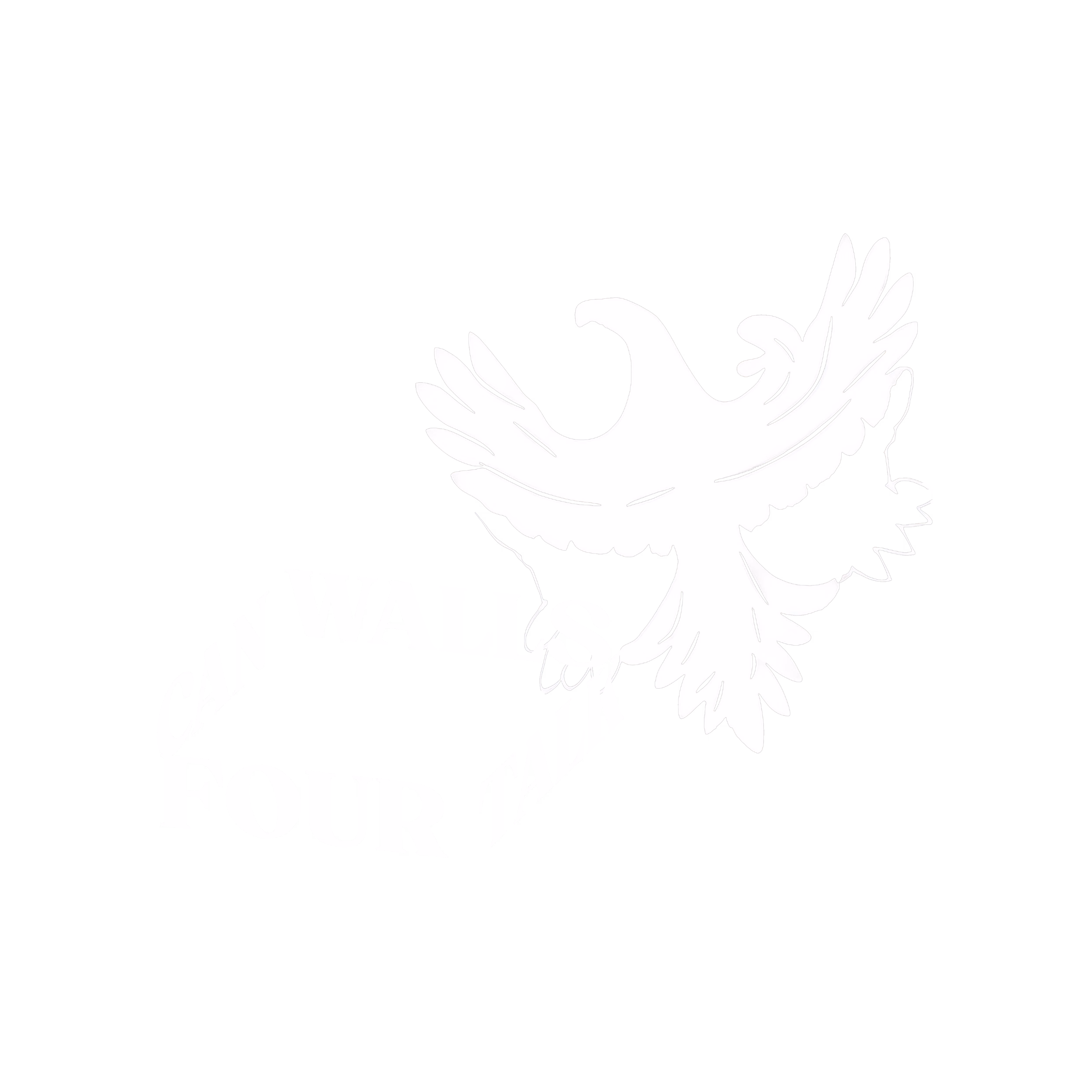 White silhouette of a bird with outstretched wings holding chains that form the curved words 'CAN WALLS TALK FOUR' on a black background.
