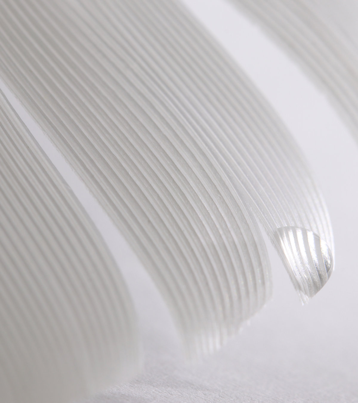 White Feather
