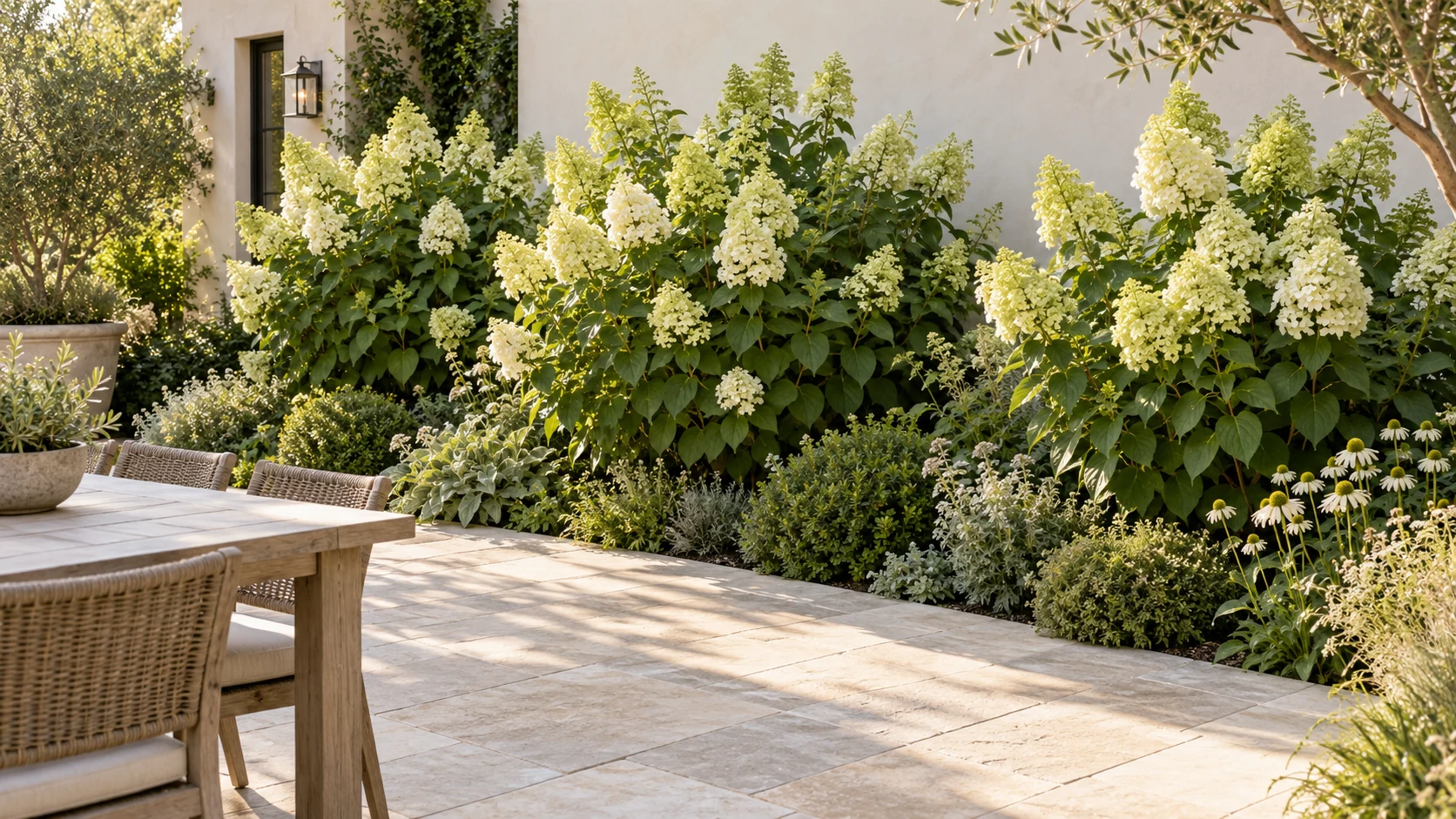 Illustrative planting concept with Limelight Hydrangea