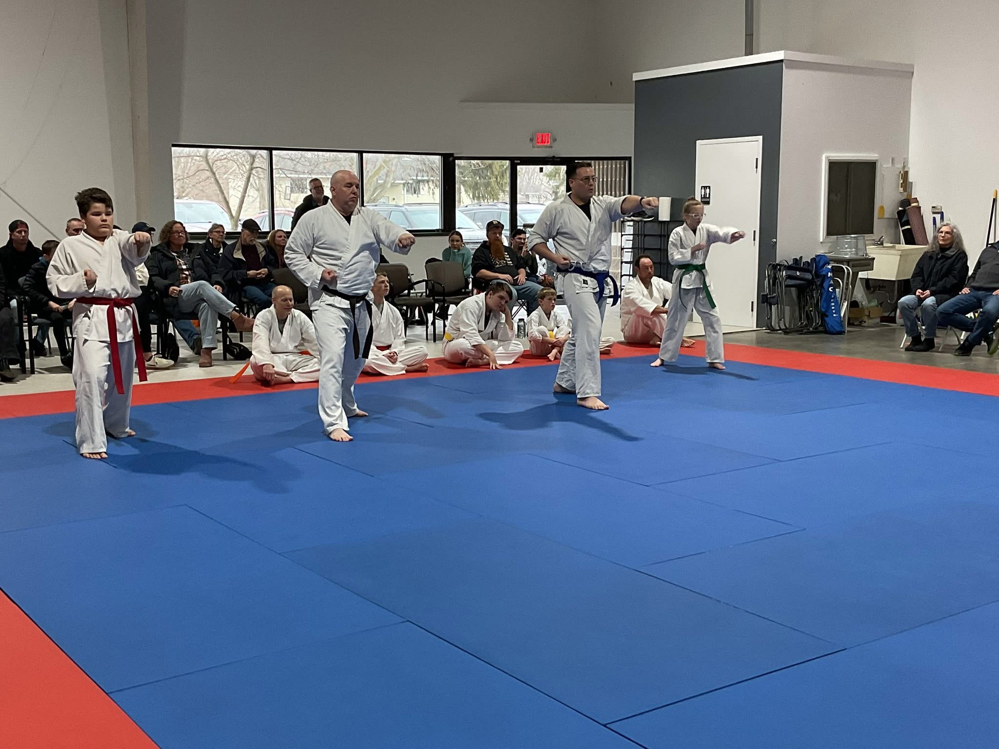 Youth / Teen / Adult Taekwondo