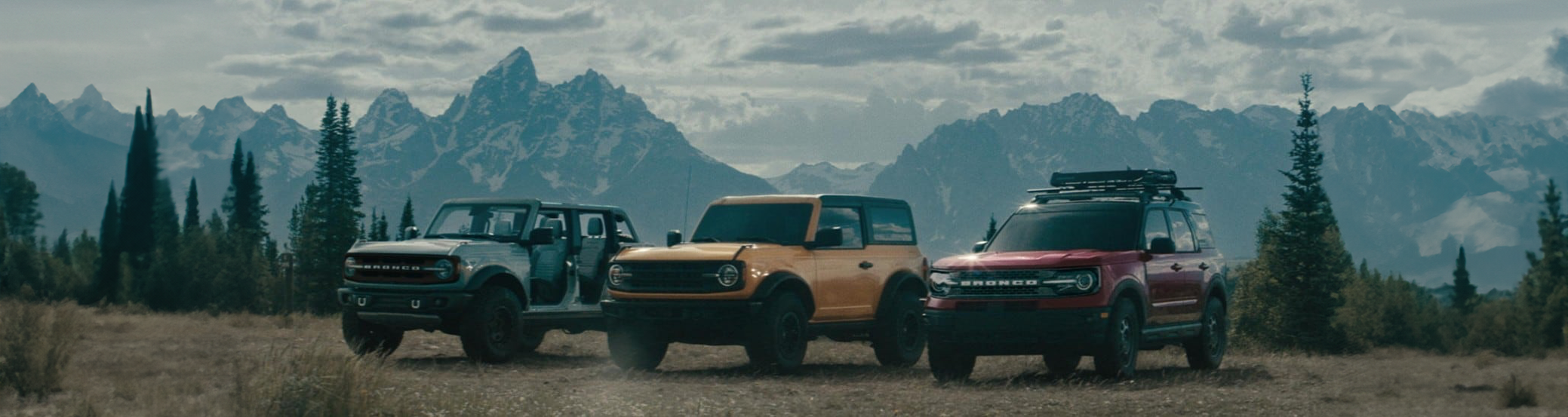 FORD BRONCO cover