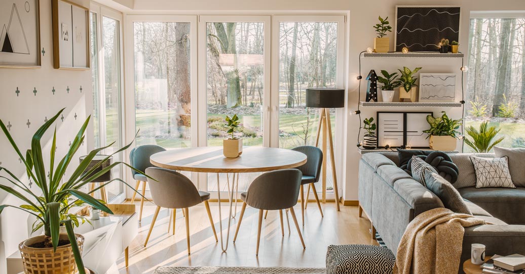 Bright home interior with indoor plants and natural light