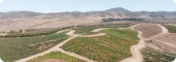 Aerial view of green agricultural fields with dirt roads winding through them, surrounded by dry hills and mountains under a clear sky.