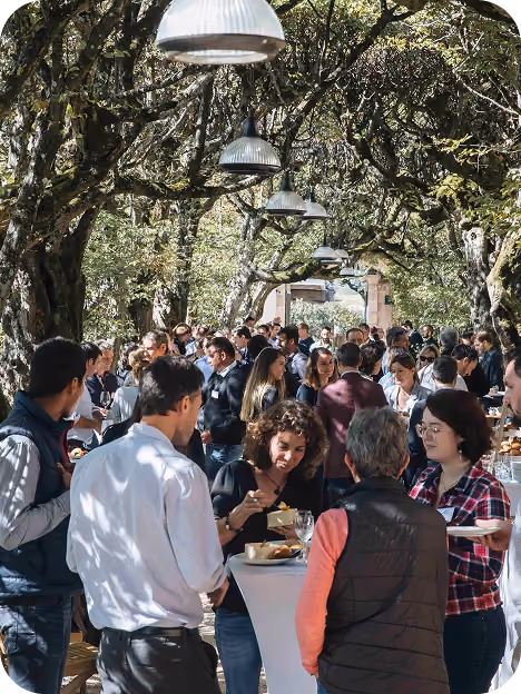 Crowd of people socializing and eating under a canopy of large trees with hanging industrial-style lights during an outdoor event.