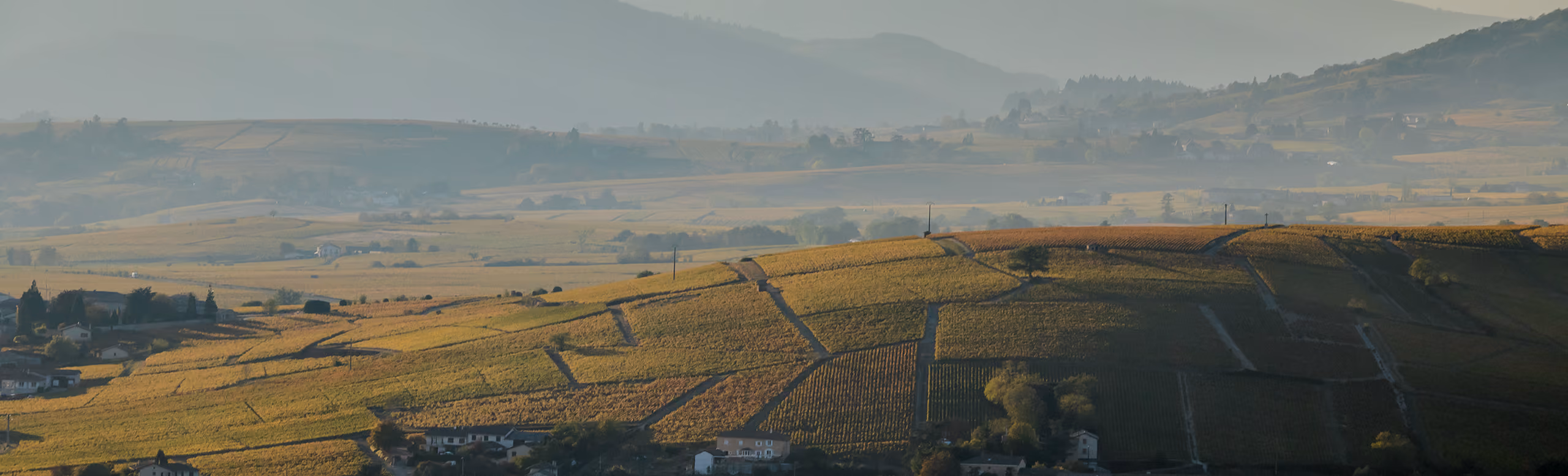Rolling hills with patchwork fields bathed in soft sunlight under a hazy sky.