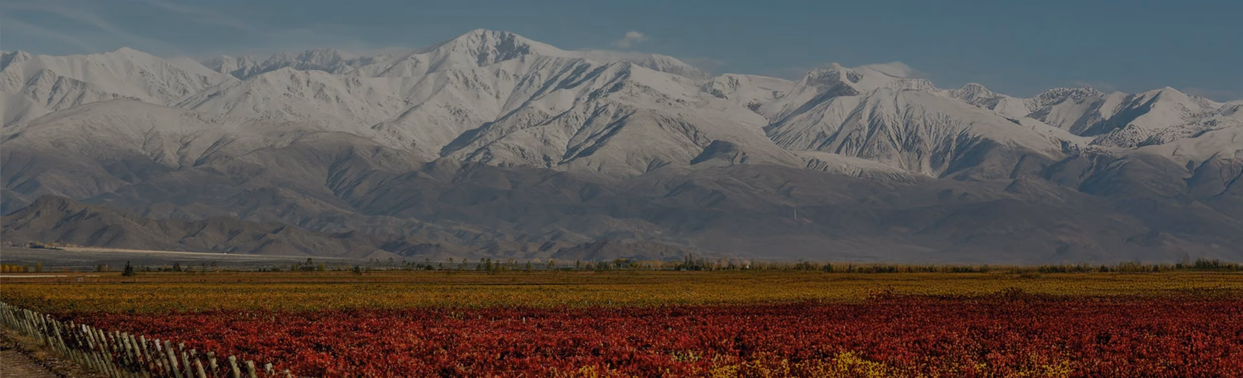 A wide landscape showing red and green fields in the foreground with a wooden fence on the left, and large snow-covered mountains in the background under a clear blue sky.