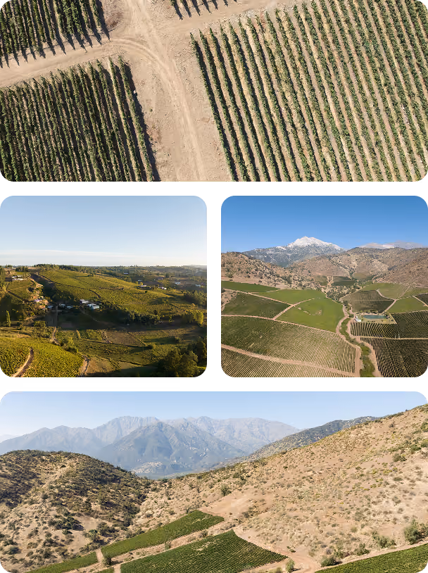 Aerial views of agricultural landscapes including close-up rows of crops, green fields with scattered buildings, a vineyard at the base of snow-capped mountains, and dry hills with patches of cultivated land under a clear sky.