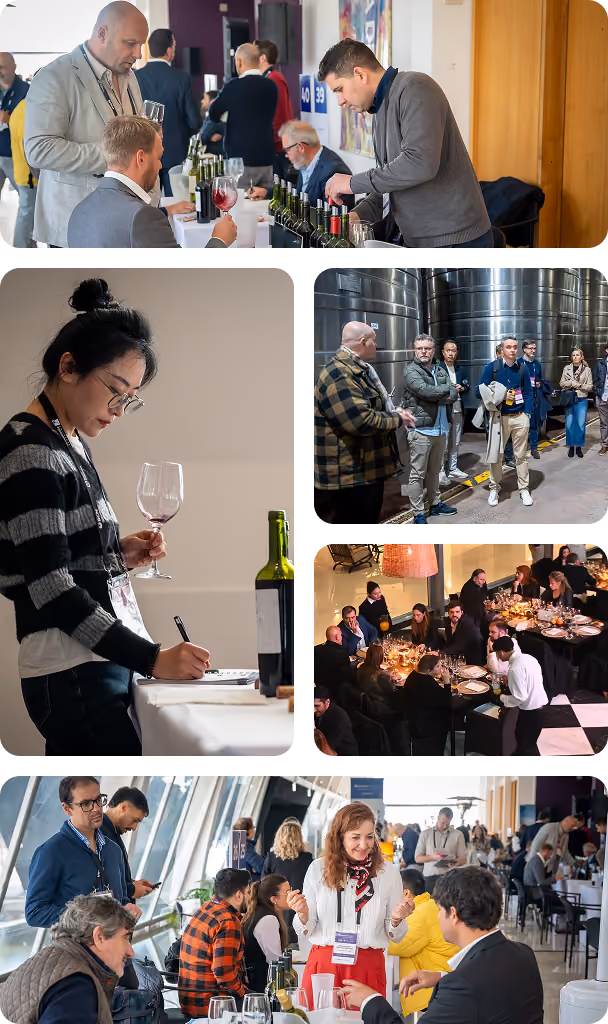 Collage of scenes from a wine tasting event including people sampling wine, discussing, and taking notes at tables, group standing in a winery cellar, a woman writing with a glass of red wine, guests dining seated around tables with candlelight, and attendees engaged in conversations in a bright room with large windows.