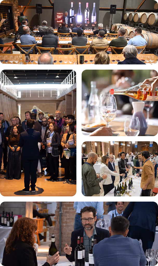 Collage of wine tasting events showing a presenter with bottles and glasses, attendees listening to a speaker, a close-up of rosé wine being poured into a glass, people tasting wines at a counter, and a man discussing wine bottles with a woman.