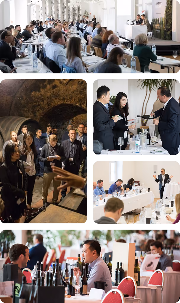 Collage of images showing events related to wine: a seated audience listening to speakers in a conference room, a group of people touring a wine cellar, a wine tasting session with participants sampling and discussing wines, and two men seated at a table with several bottles of wine, engaged in conversation.