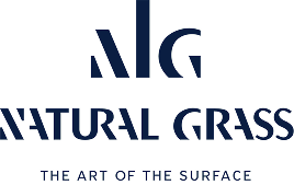 Logo AIG
