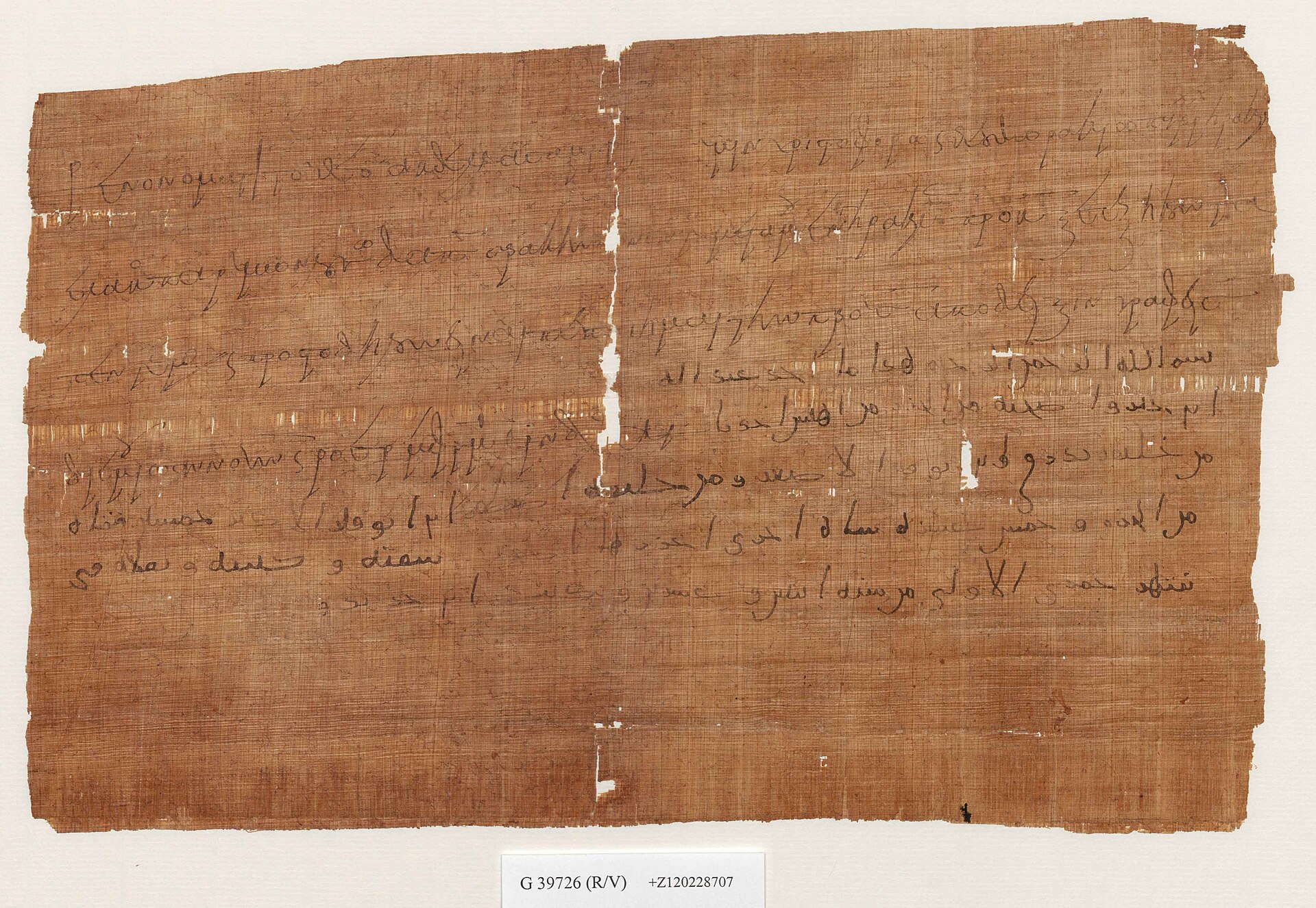 Der Papyrus PERF 558 aus dem Jahr 643: zweisprachige griechisch-arabische Quittung über 65 Schafe, Vorderseite.