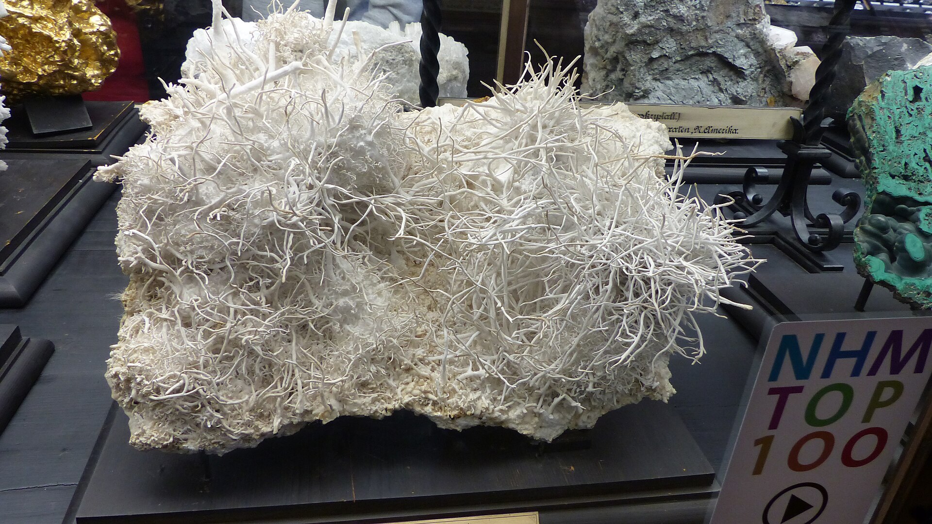 Eine weiße, korallenartig verästelte Eisenblüte (Aragonit) im Naturhistorischen Museum Wien.