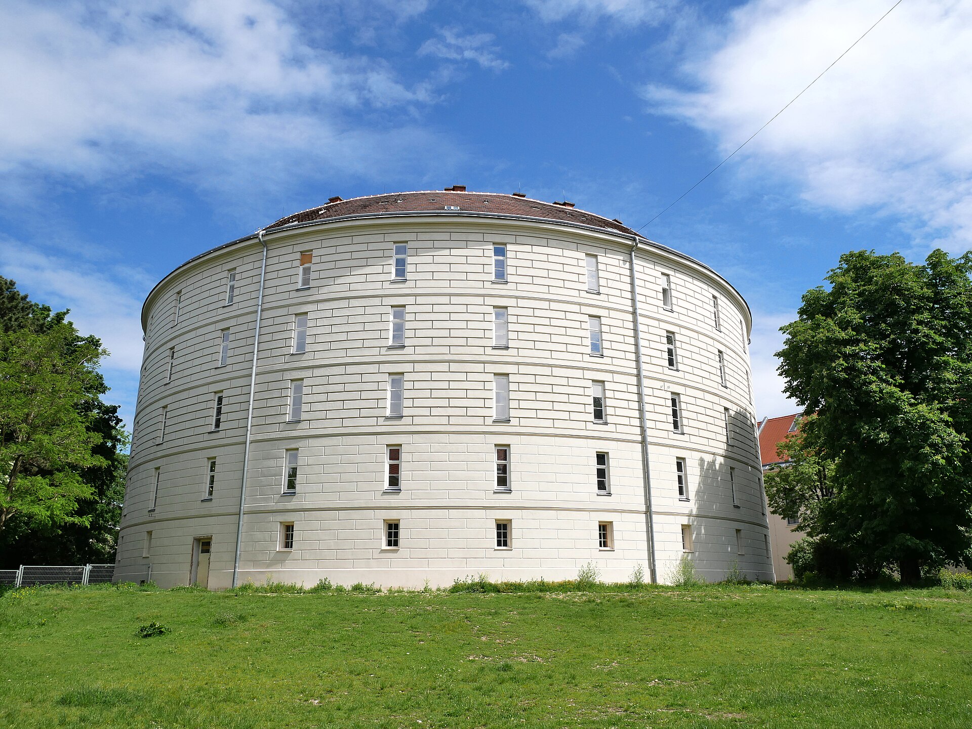 Ein Bein mit Krampfadern: Warum das Präparat im Narrenturm wie ein Modell wirkt