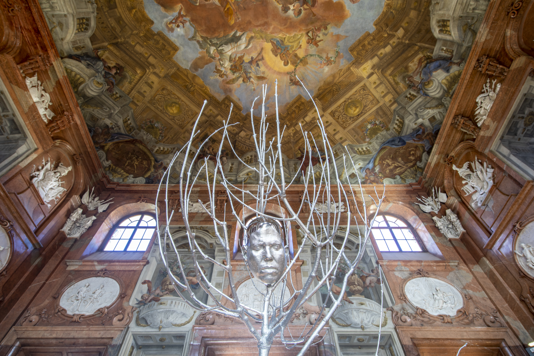 Ausstellungsansicht „GROW. Der Baum in der Kunst“ im Unteren Belvedere.
