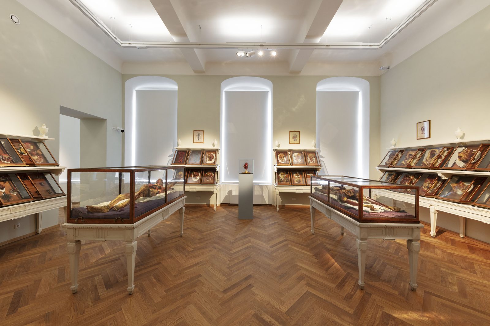Dauerausstellung – Josephinum