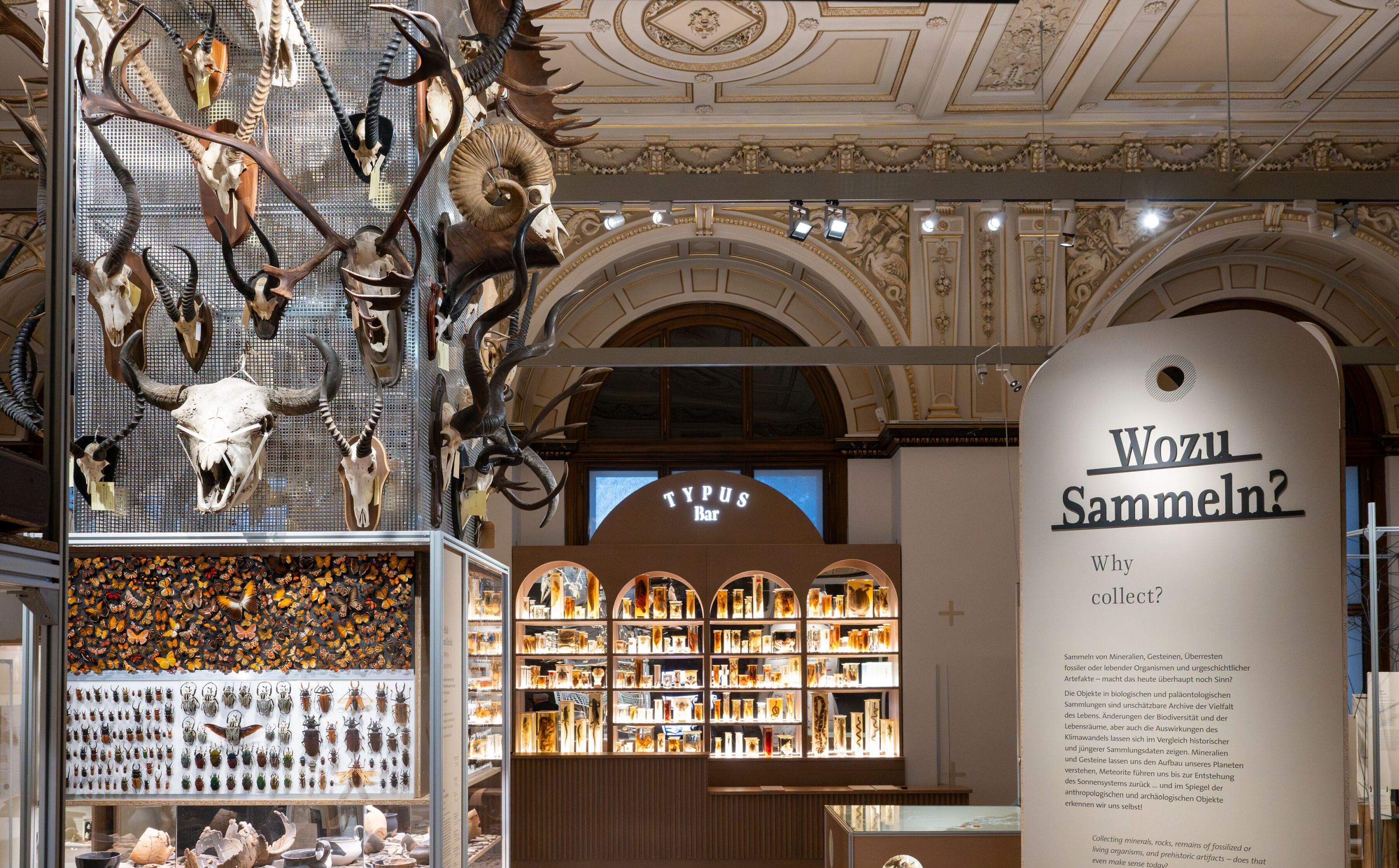 Saal im Naturhistorischen Museum Wien mit Tierpräparaten und Vitrinen zur Ausstellung über die Herkunft der Sammlung