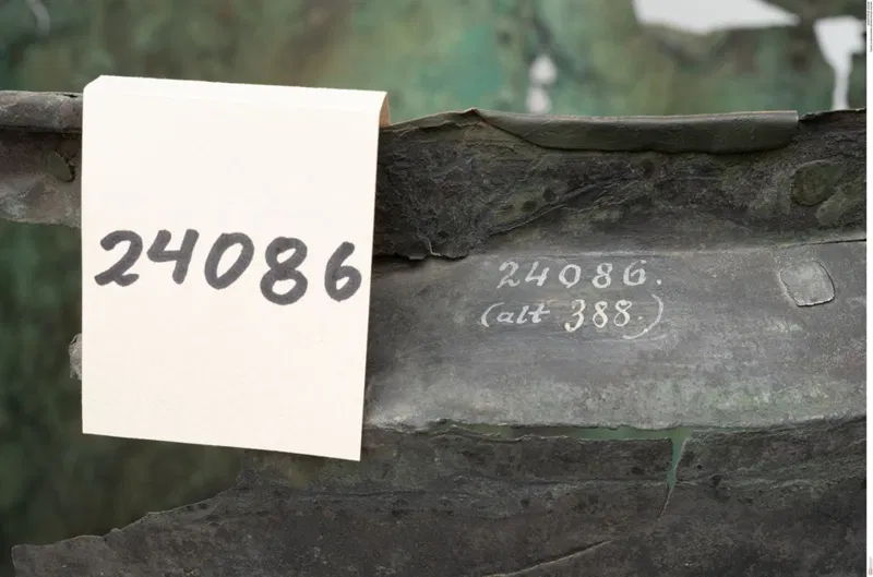 Bronzesitula aus Grab 125 des Gräberfelds am Hallstätter Salzberg, Ältere Eisenzeit.