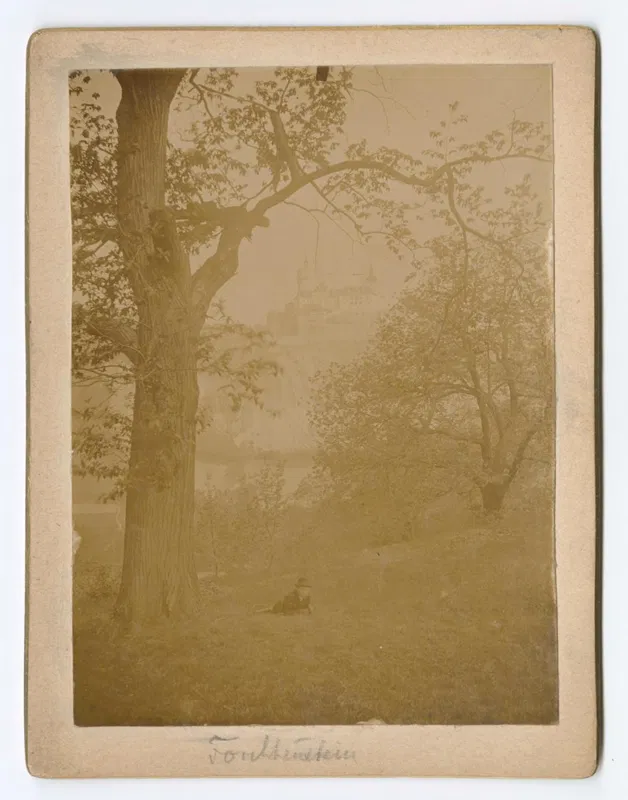 Ansicht von Burg Forchtenstein, Albuminabzug 1880 bis 1900.