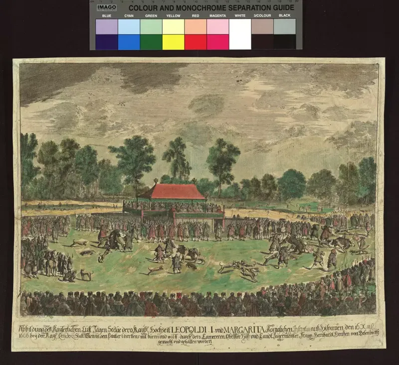 Eine Bärenhatz zur Kaiserhochzeit, 1666