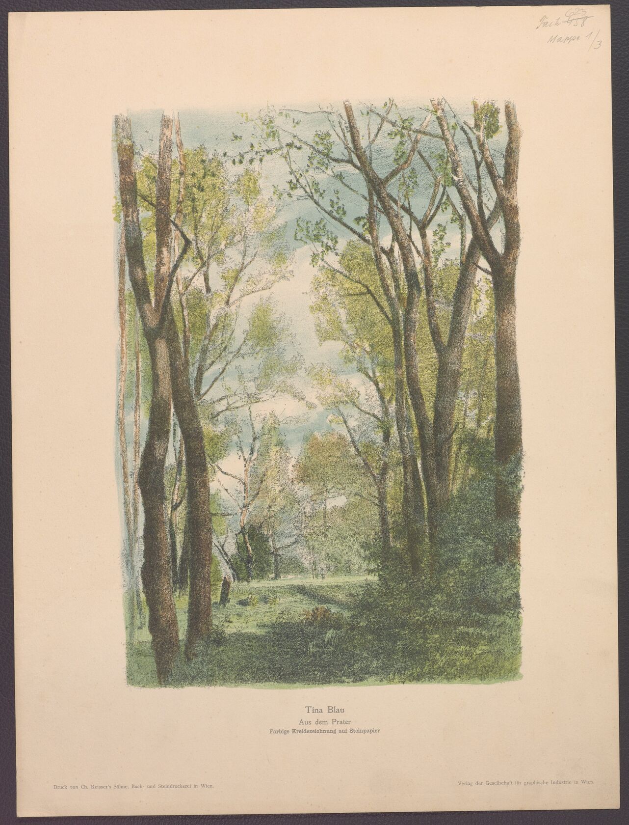 Der grüne Prater, 1901