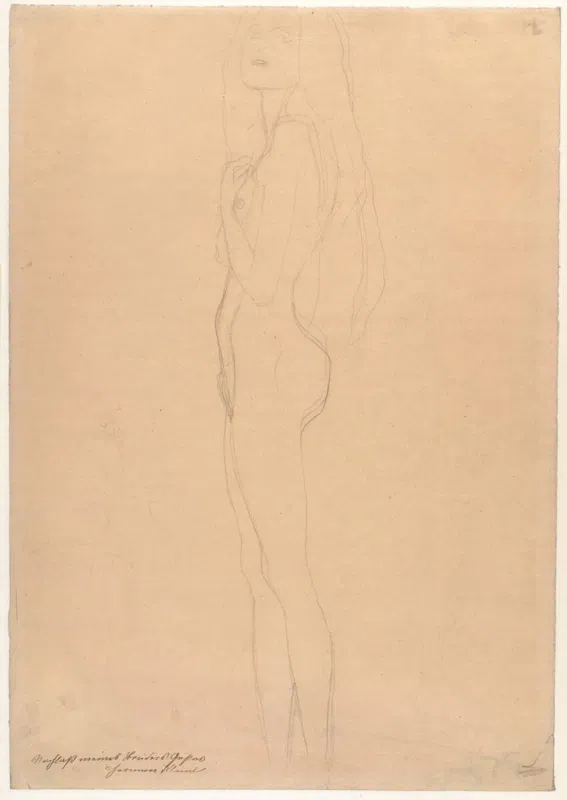 Gustav Klimt, Studie für die linke der drei Gorgonen im Beethovenfries, schwarze Kreide auf Papier, 1901